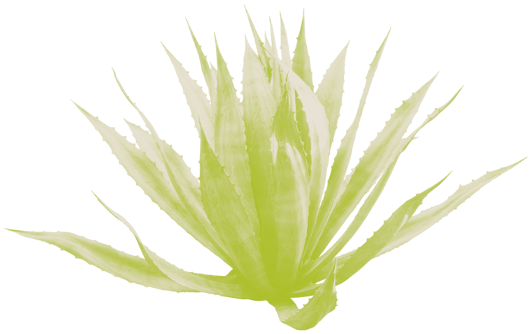 zuzu duotone stock 290072821 green cmyk